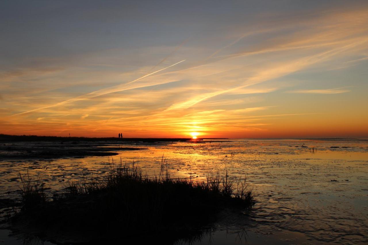 Kleiner Seestern * Cuxhaven